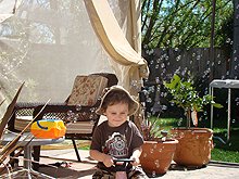 Ryder