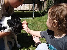 Ryder petting Shelby
