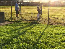baseball practice