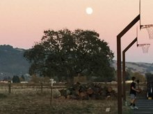 Thanksgiving