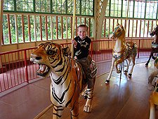 Hunter on the carousel