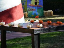 Six Flags Fright Night