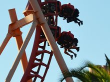 Six Flags Fright Night