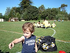Ryder spots a stray ball he wants to kick.