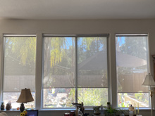 solar blinds