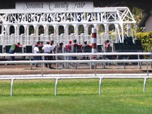 Sonoma County Fair