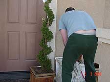 Dave potting a tree.