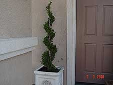 This size is much better for the front entry.