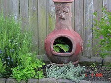 Chiminea with Australian Tree Fern