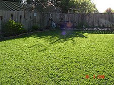 Nicely mowed and looking good