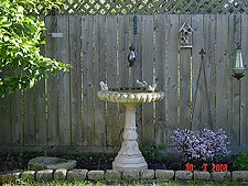 Bird bath