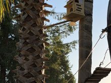 squirrel box
