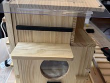 squirrel box