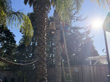 squirrel box