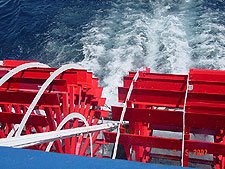 View of paddles
