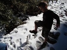 He didn't really stomp on him...