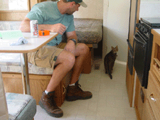 Allie exploring the new trailer.