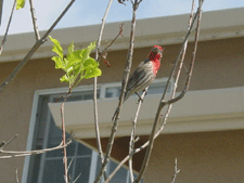 Nature from our trailer window...