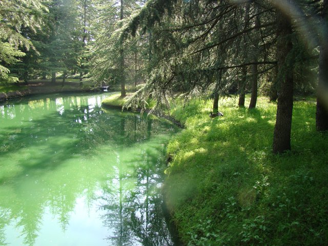 Views from the train ride.