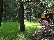 Views from the train ride.