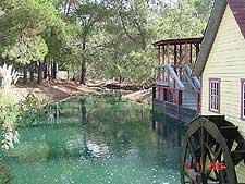 Views from the train ride.