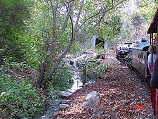 Views from the train ride.