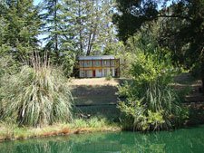 View from the train ride.