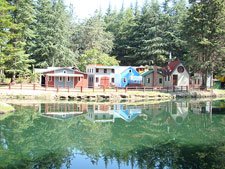 View from the train ride.