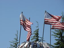 View from Ferris Wheel