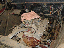 An unwanted passenger -- a black widow spider is one of many found in the engine.