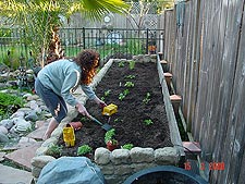 Heidi planting.