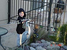 Hunter petting the fake bird.