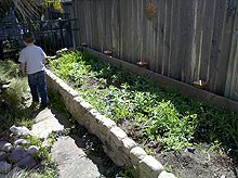 Lots of weeds to pull.