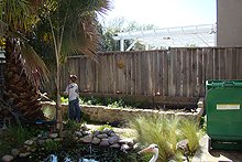 Weeding the garden area.