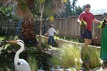 Weeding the garden area.