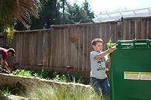 Weeding the garden area.