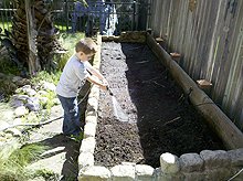 Weeding the garden area.