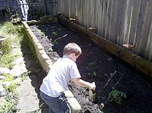 Hunter watering the garden area.