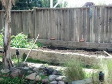 Dave weeded the garden bed.