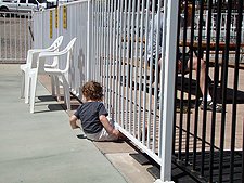 Ryder thinks he can squeeze under the fence to get to Dave on the other side.