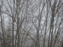 Finally looking a little like winter -- view from the bedroom window.