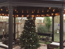 Christmas Tree in the Gazebo