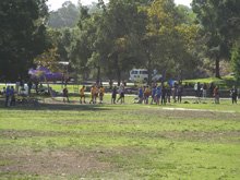 XC Meet