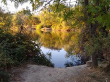 XC Meet