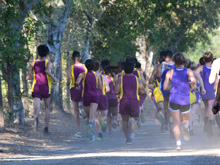 XC Meet