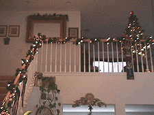 Tree upstairs in loft.