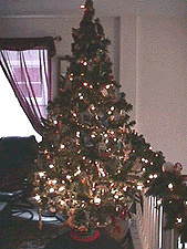 Our medium-size tree.