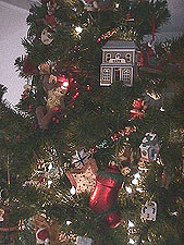 Closeup of tree in loft..