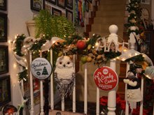 Christmas Decorations