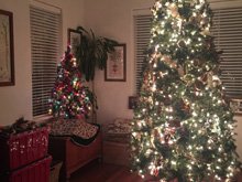 Christmas Decorations